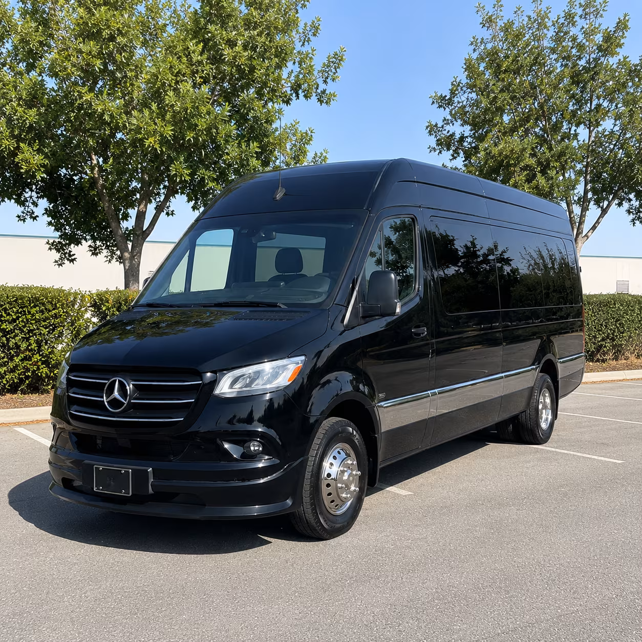 sprinter van with driver